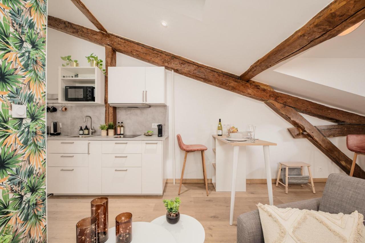 Chic Studio Dans Le Centre Historique Tuluza Zewnętrze zdjęcie